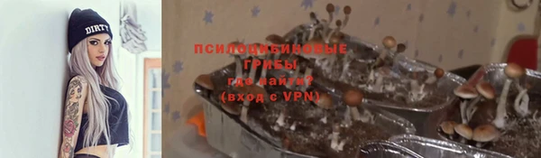 стафф Баксан
